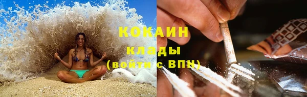 дживик Богданович